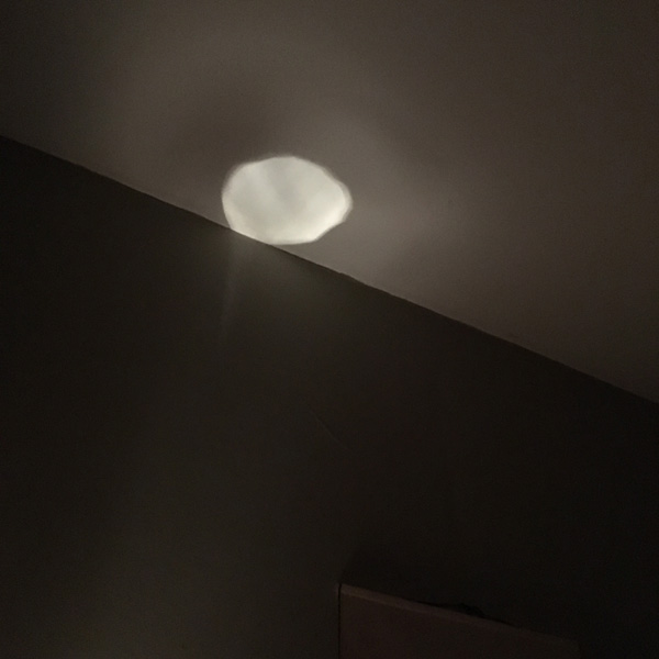 Lam Wong: Paper Moon