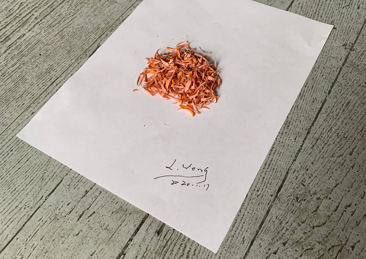 Lam Wong: APART, 2020